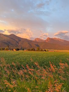 IMG-20250705-WA0003